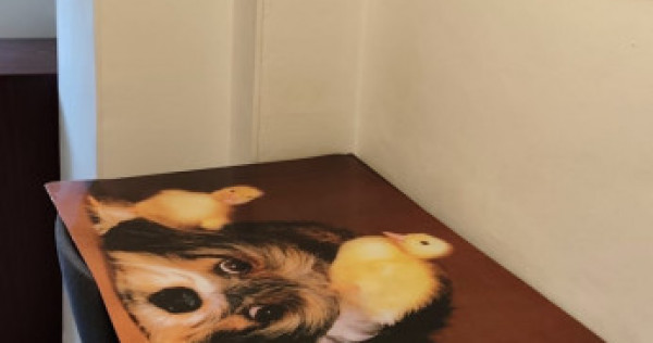 Berceni brancoveanu luica bloc nou