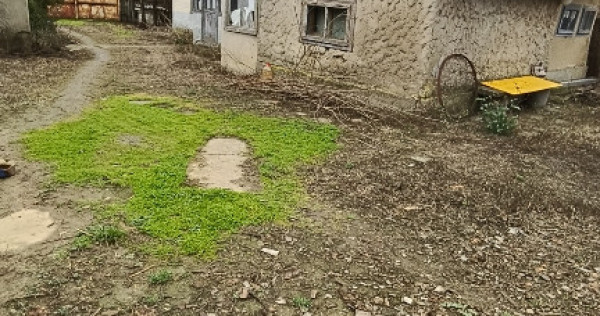 Casă + teren 4900mp Nanesti Vrancea