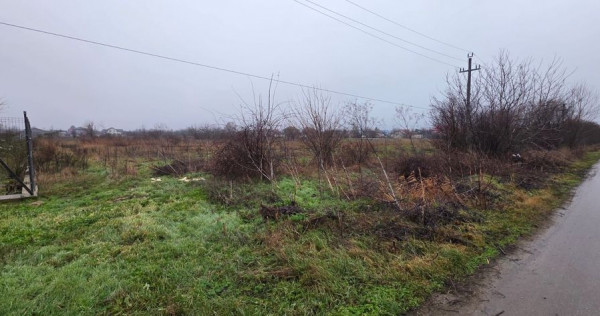 Teren 5000 mp 1 decembrie - strada Oituz