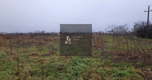 Teren 5000 mp 1 decembrie - strada Oituz