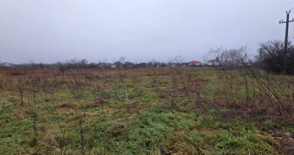 Teren 5000 mp 1 decembrie - strada Oituz