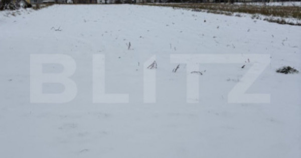 Teren intravilan de v&acirc;nzare &ndash; Mitocul Dragomirnei, jud. S