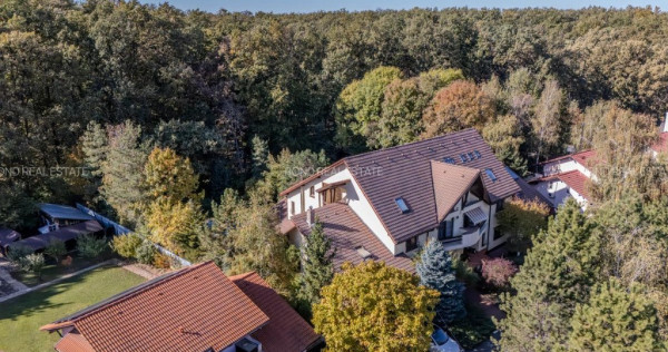 Promotie - vila langa padure cu piscina-Paradisul Verde