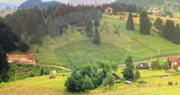 Teren de vis &icirc;n Fundata 1934mp sau 3868mp, la &icirc;nălțim...