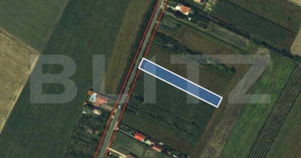 Teren intravilan de vanzare, 2.500 mp, Str Gorunului