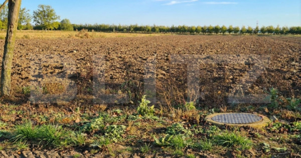 Teren intravilan de vanzare, 2.500 mp, Str Gorunului, zona A