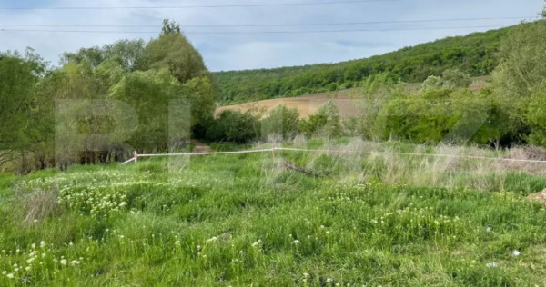 Teren intravilan de v&acirc;nzare, 2169 mp &ndash; Str. Remetea, T&acirc;r