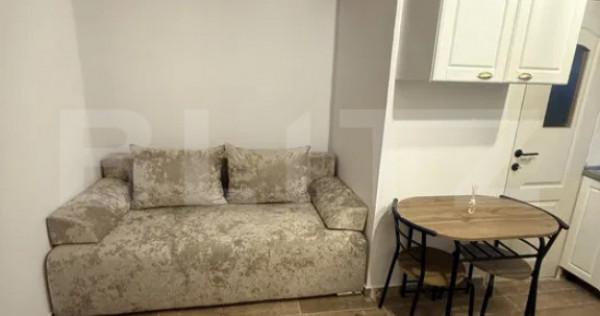 Garsonieră 15mp, prima &icirc;nchiriere, singur &icirc;n curte cu ter