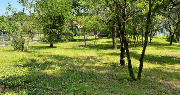 Casa cu teren 2105 mp Campina zona rezidentiala