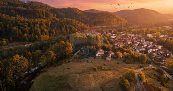 CASA INCONJURATA DE NATURA | DIN BUSTENI | 8 CAMERE | TIM...