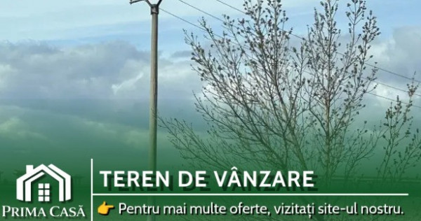 Oportunitate de investitie ~ teren in apropiere de A7 ~ 20.000mp