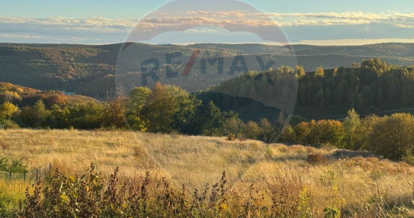 Teren intravilan de vanzare in Feleacu - 720 MP - PUZ apr...