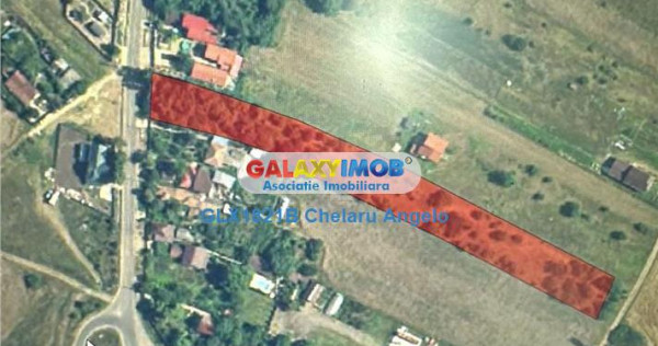 Snagov- Gruiu teren 6209 mp ,asfalt toate utilitatile gaze,a