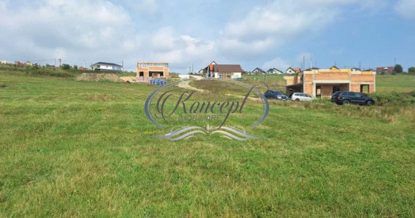 Teren cu autorizatie duplex in Jucu de Sus