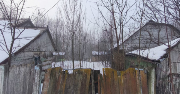 Teren intravilan , 5000mp, zona Negostina, Siret