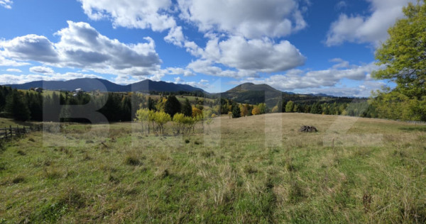 Teren 1,5 hectare - la Piatra Fantanele