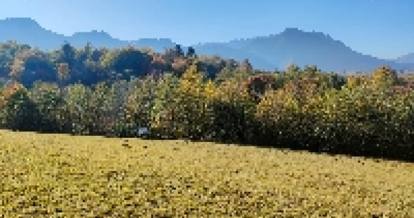 Teren Bran Tohanita!