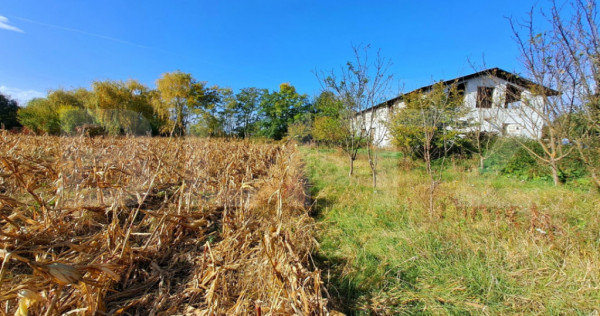 Teren intravilan de 18927 mp, Hala P+1 250 mp, Ocna Mures