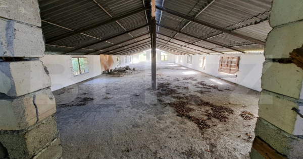 Teren Intravilan de 19000 mp, hala cu etaj 250 mp, Ocna Mure