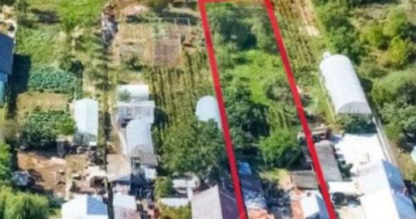 Teren intravilan 1,189mp Buftea - constructii si livada/ ...