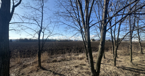 Teren Intravilan 60.000mp