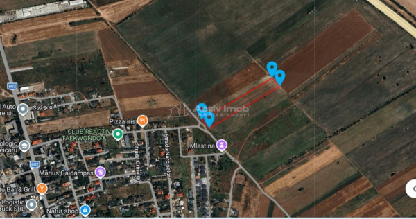 Teren Ciorogarla- Strada Viitorului