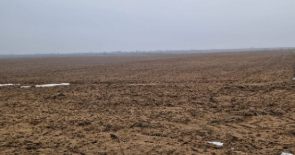 Teren de v&acirc;nzare 2.500 mp &ndash; Malu Mare