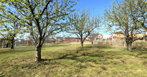 Teren cu dubla-deschidere, Paleu, 1000mp