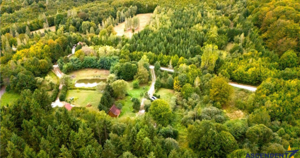 Refugiu montan,cu 2100 mp domeniu verde,arie ultra-liniara,