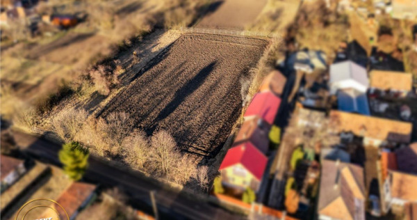 FILM! 4.554 mp intravilan, PUZ: locuinta,afacere,productie,s