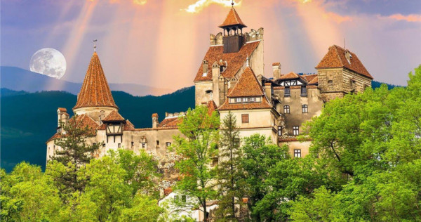 Langa Castelul Bran: Pensiune restaurant transfer afacer