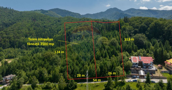 Teren intravilan, 3500 mp, D&acirc;mbu Morii