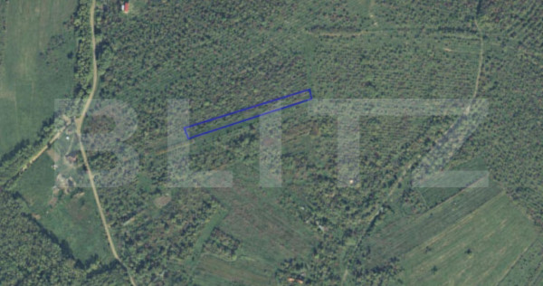 Teren intravilan de vanzare, 2697 mp, in Ardud Vii