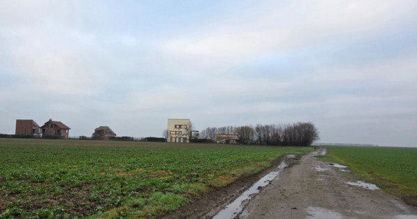 Frumusani-Pasarea '70 loturi cu drum &icirc;ntr-o zona in dezvolt