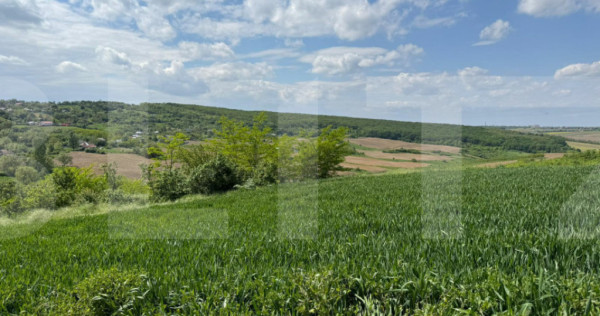 Teren extravilan 6.800 mp &ndash; Zăicești &ndash; Oportunitate in