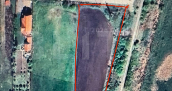 Teren intravilan 35 arii opurtunitate investitie