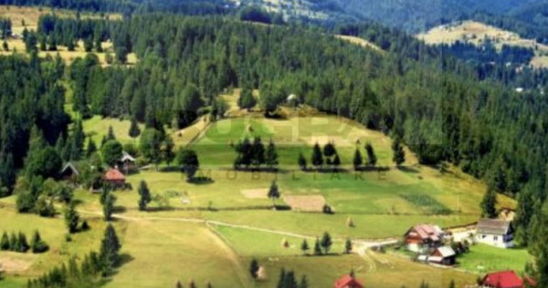 Teren intravilan 250 mp, Arieseni - Partie Ski