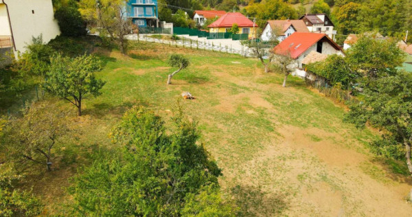 Teren Intravilan 924 mp Codlea 3 Parcele