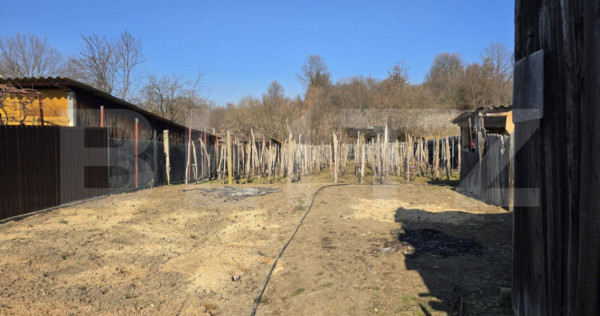 Casa de vanzare, zona DRAGOIENI