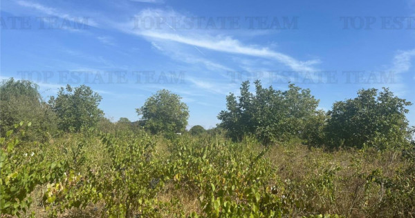 Teren intravilan construibil 1042 mp, in Ilfov-Branesti,ide