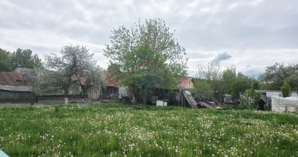 Teren 325mp Dobreni / Strada LASCAR CATARGIU