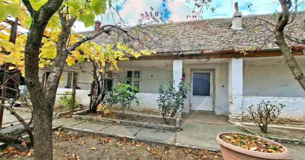 Casa veche cu teren 929 mp- oportunitate in Vladimirescu-...