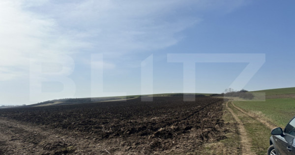 TEREN ARABIL EXTRAVILAN 15.000 mp SANTUHALM