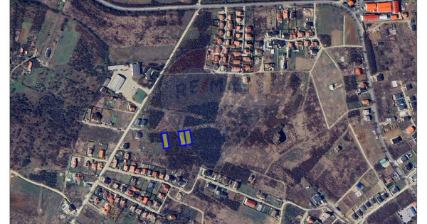 Teren de v&acirc;nzare &ndash; Paleu, județul Bihor | 3 parcele a...