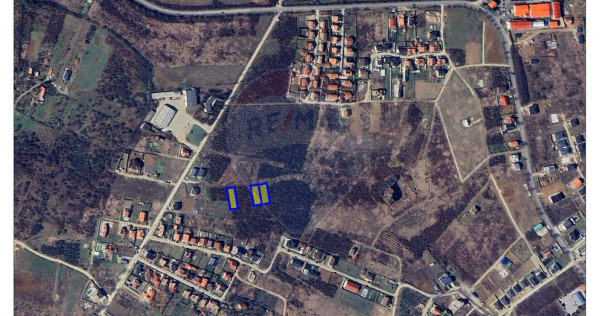 Teren de v&acirc;nzare &ndash; Paleu, județul Bihor | 3 parcele a...