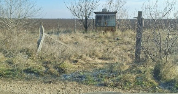 Teren de vanzare intravilan Odaia Manolache 812mp