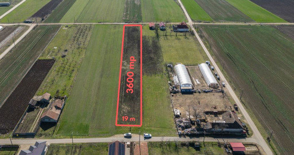 Teren 3.600 mp &icirc;n Curtici, 2 fronturi stradale &ndash; La do...