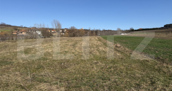 Teren intravilan in localitatea Hereclean in suprafata de 29