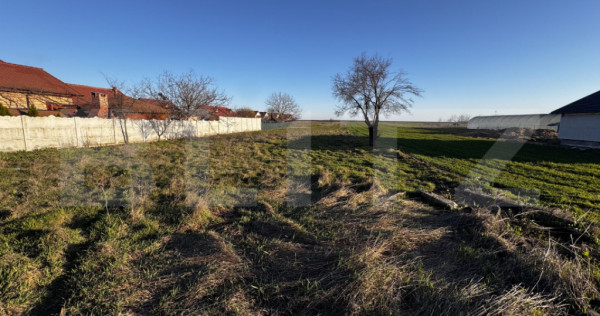 Teren intravilan 2166mp, Preajba