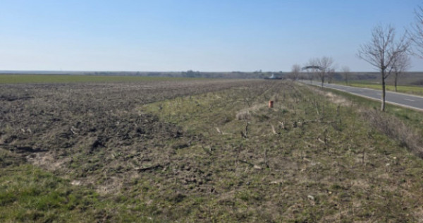 Teren intravilan, 2000 mp, zona Motoci